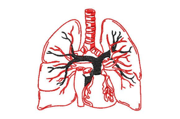 Halloween Lung Anatomy: A Designer's Review